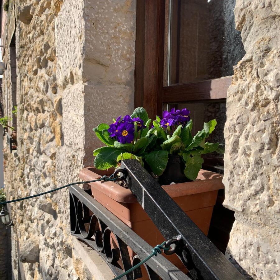 Casa Cuco Guest House Serdio Екстериор снимка